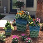 Various Sized Flower Pots