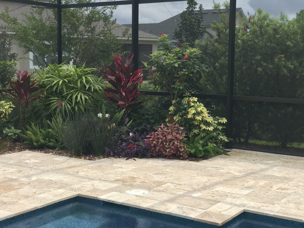 Upgraded poolside flower garden