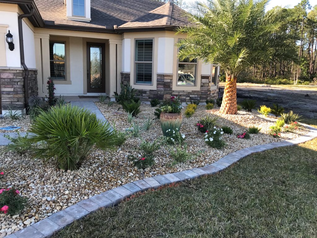 Updated garden with plants, flowers, and a palm tree.