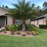 Palm tree and plants in new garden in front of a house.