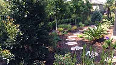 Landscaping with stone path.