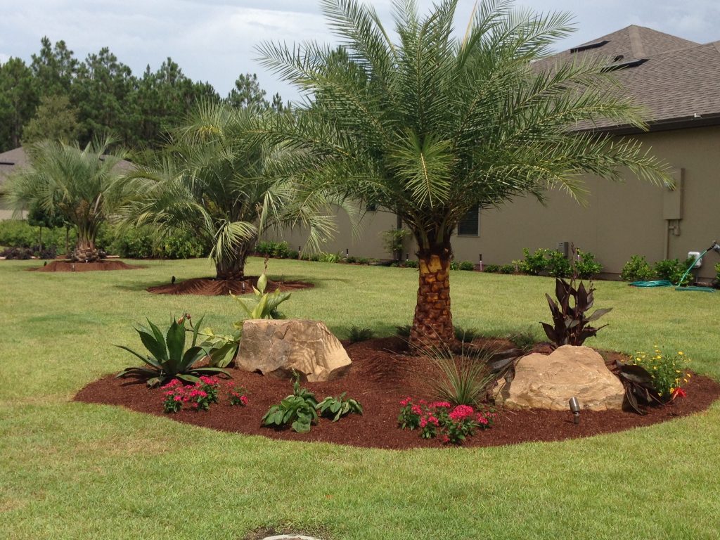 New palm trees and garden with stones.