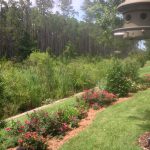 Plants garden on edge of property